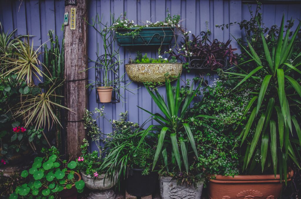 The Ultimate Guide to Vertical Gardening